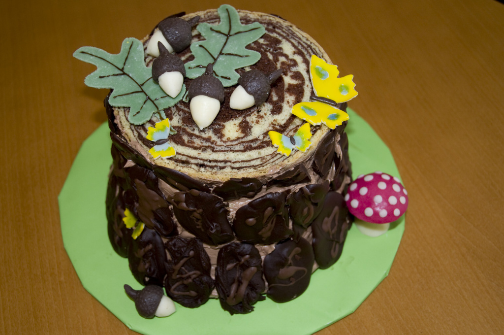 obrázek dortu - dort 