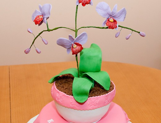 obrázek dortu - dort Orchidej